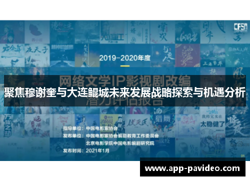 聚焦穆谢奎与大连鲲城未来发展战略探索与机遇分析