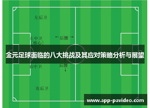 金元足球面临的八大挑战及其应对策略分析与展望 金元足球面临的八大挑战及其应对策略分析与展望