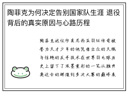 陶菲克为何决定告别国家队生涯 退役背后的真实原因与心路历程