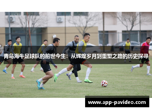 青岛海牛足球队的前世今生：从辉煌岁月到重塑之路的历史探寻