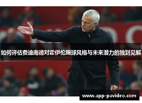 如何评估费迪南德对霍伊伦踢球风格与未来潜力的独到见解