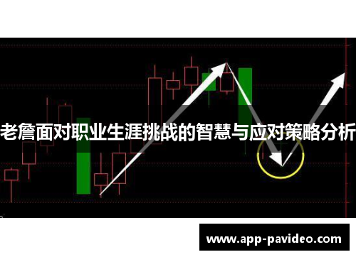 老詹面对职业生涯挑战的智慧与应对策略分析