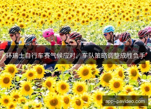 环瑞士自行车赛气候应对，车队策略调整成胜负手
